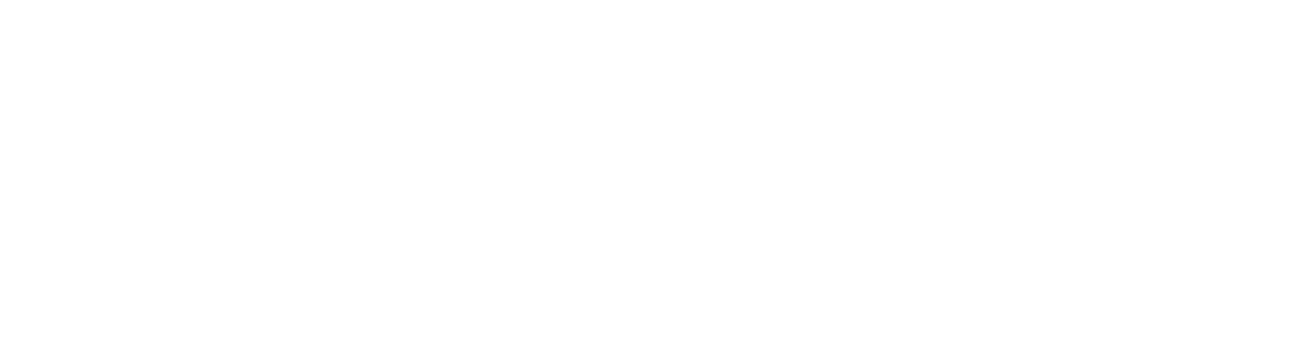 Footer light Logo